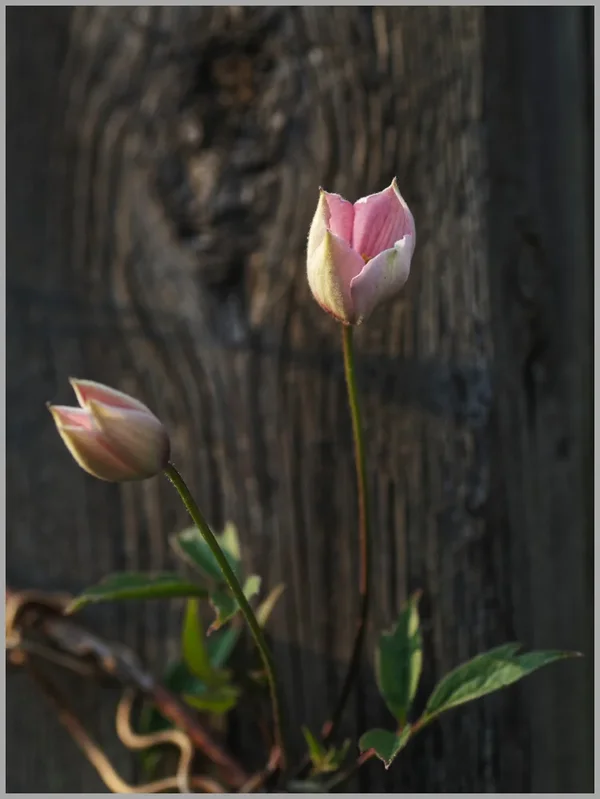 _small__IMG2259_1_DxO.webp