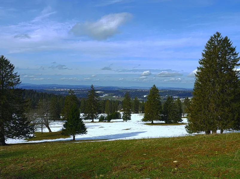 20210205_130957_HDR.jpg