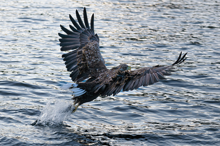 21.09.11_0184_DxO-Bearbeitet.jpg