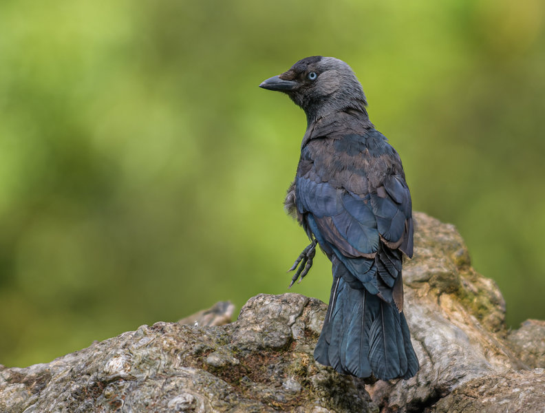 August 2017-17_DxO-Bearbeitet.jpg