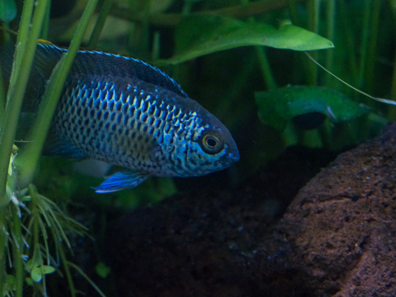 P2080028.JPG P2080028.JPG