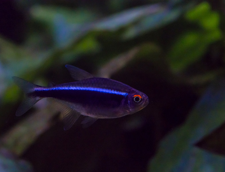 P2080016.JPG P2080016.JPG