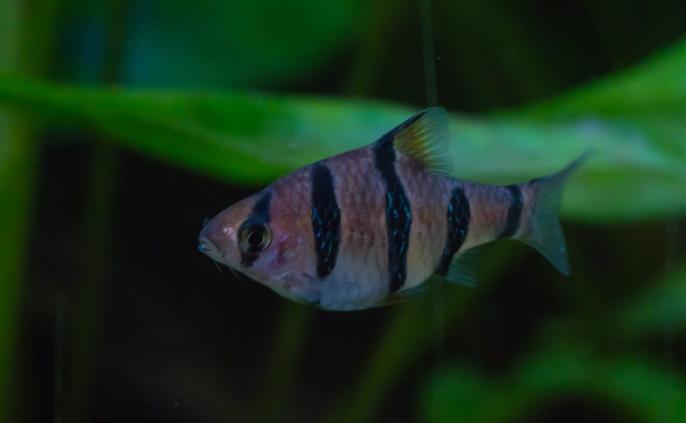 P2080044.JPG P2080044.JPG