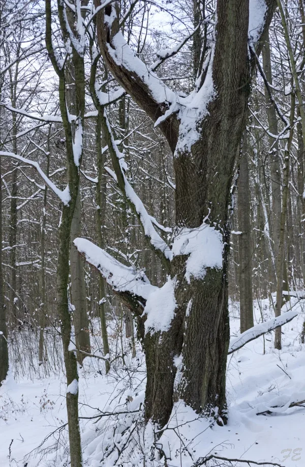_IGP2356_DxO.webp
