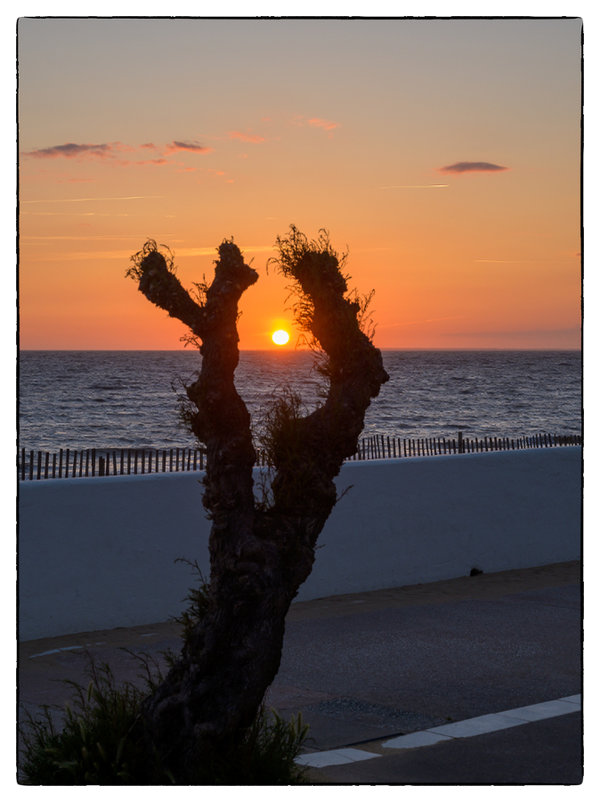 Frankreich-Sonnenuntergang.jpg