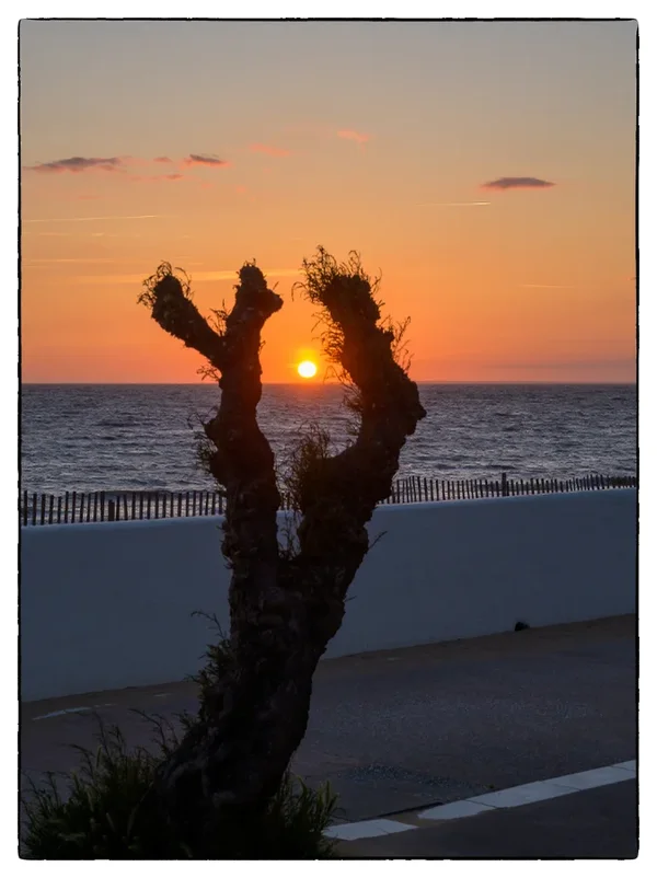Frankreich-Sonnenuntergang.webp