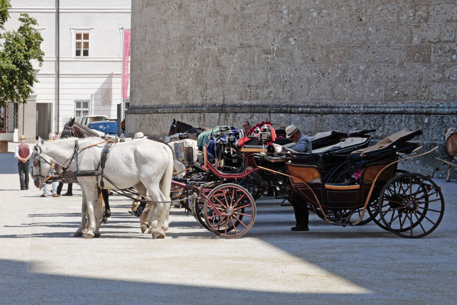 SalzburgPferdebeimDomKUTSCHECL1856_999x666.jpg