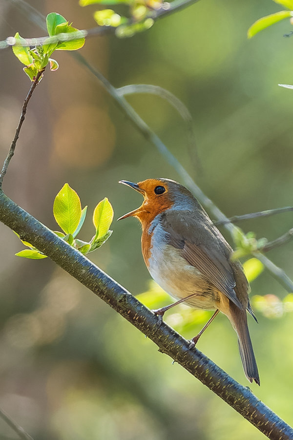 Fliegerhorst Venlo 2020-42_DxO-Bearbeitet.jpg