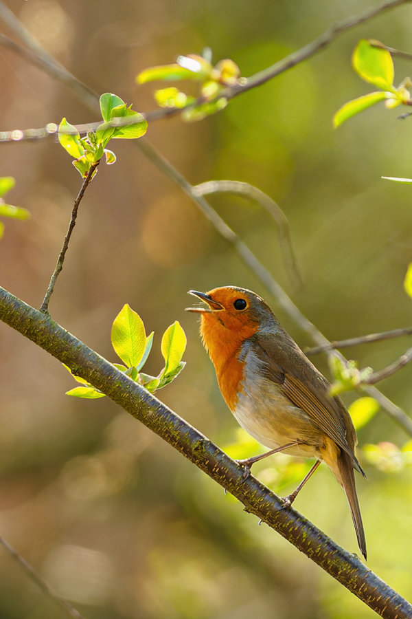 Fliegerhorst Venlo 2020-45_DxO-Bearbeitet.jpg