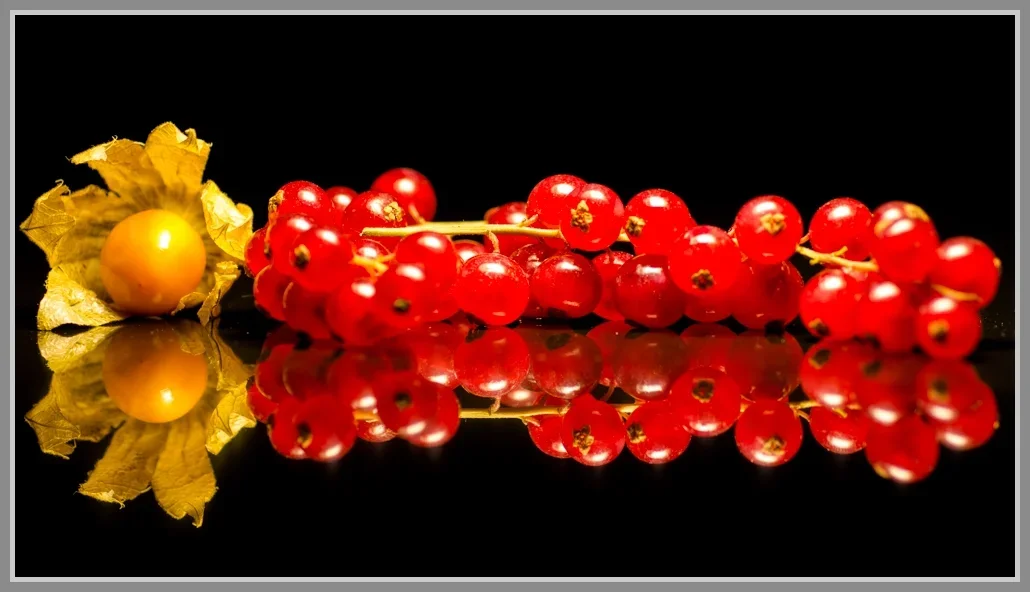 UML_6349.webp