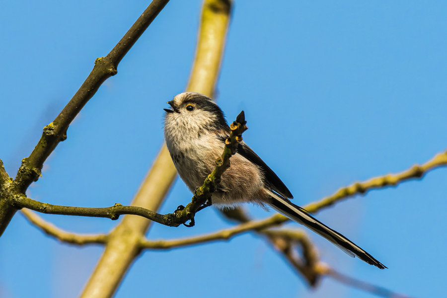 Bislich 2021-93_DxO-Bearbeitet-Bearbeitet.jpg