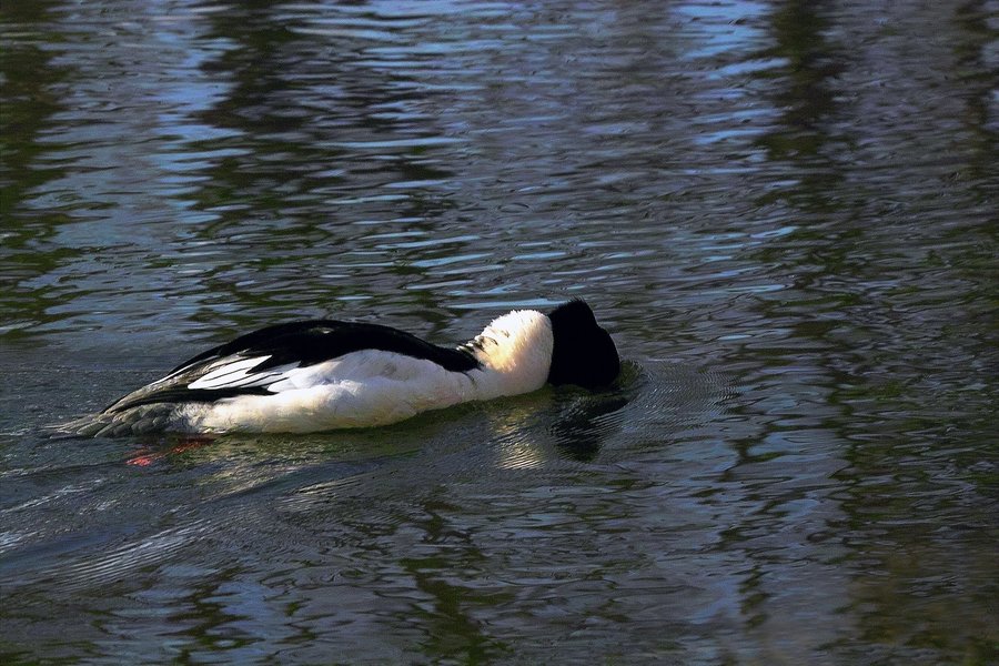 IMG20776-xx.jpg IMG20776-xx.jpg