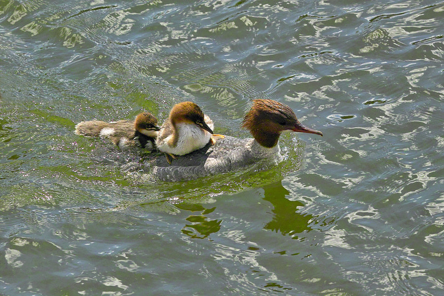 IMG14688-b.jpg IMG14688-b.jpg