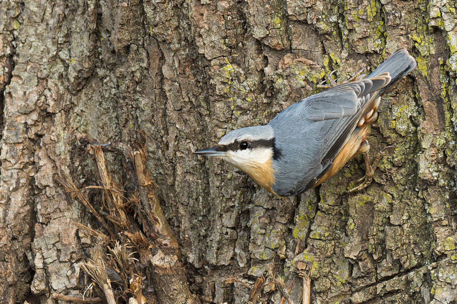 Beller Mühle Park 2021-101_DxO-Bearbeitet.jpg Beller Mühle Park 2021-101_DxO-Bearbeitet.jpg