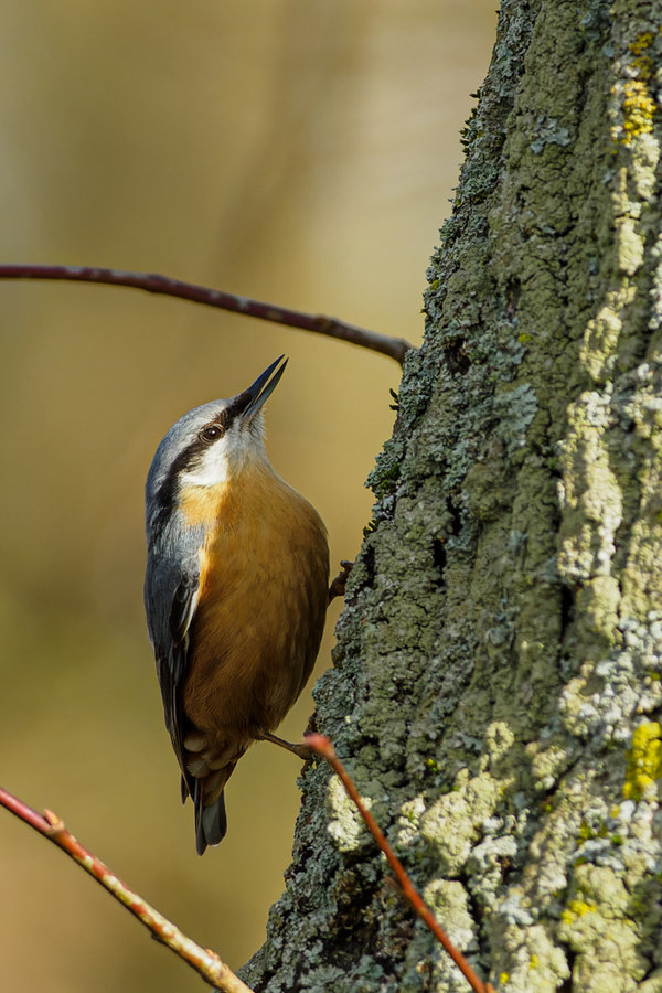 Beller Mühle Park 2021-122_DxO-Bearbeitet.jpg Beller Mühle Park 2021-122_DxO-Bearbeitet.jpg