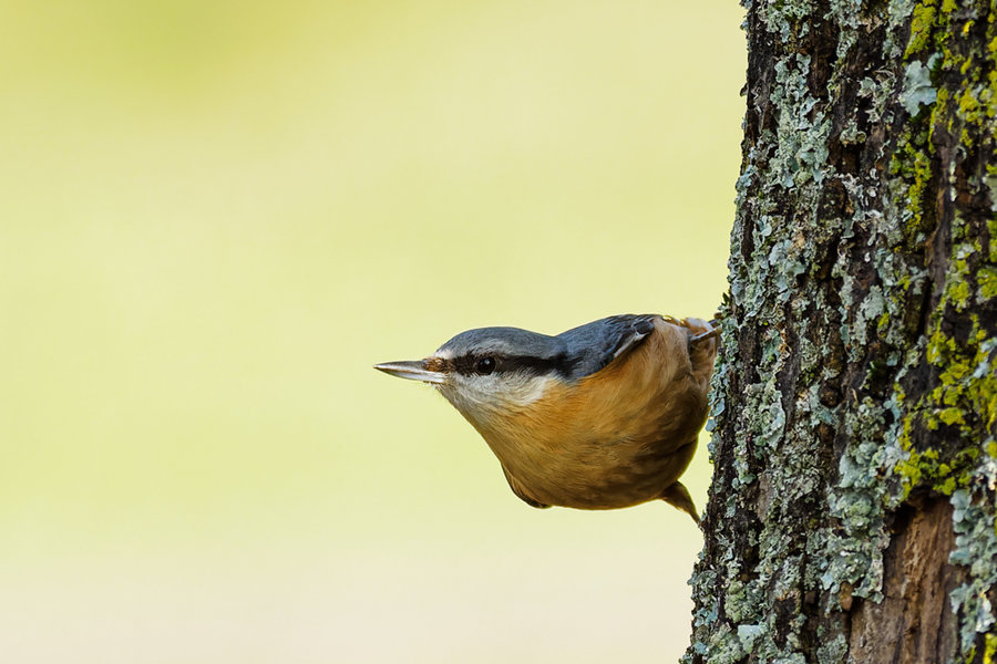 Beller Mühle Park 2021-112_DxO-Bearbeitet.jpg Beller Mühle Park 2021-112_DxO-Bearbeitet.jpg