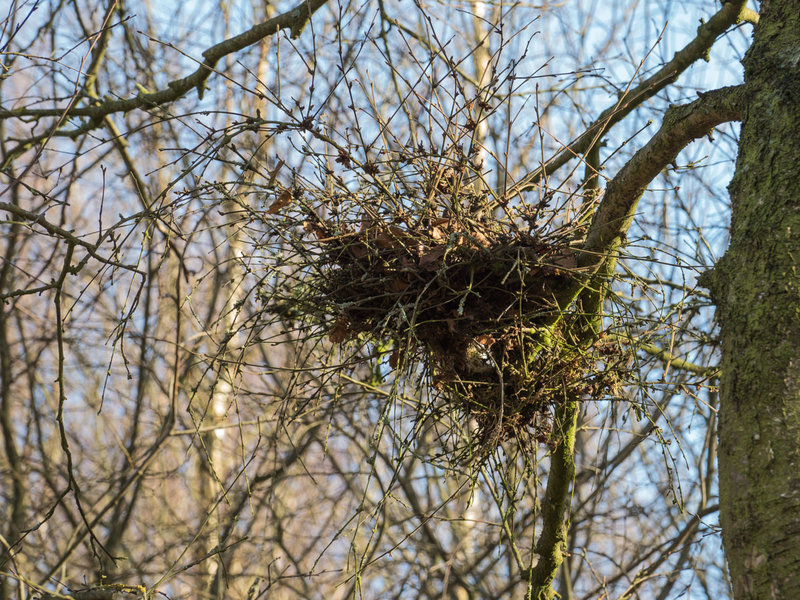 P2240039.JPG P2240039.JPG