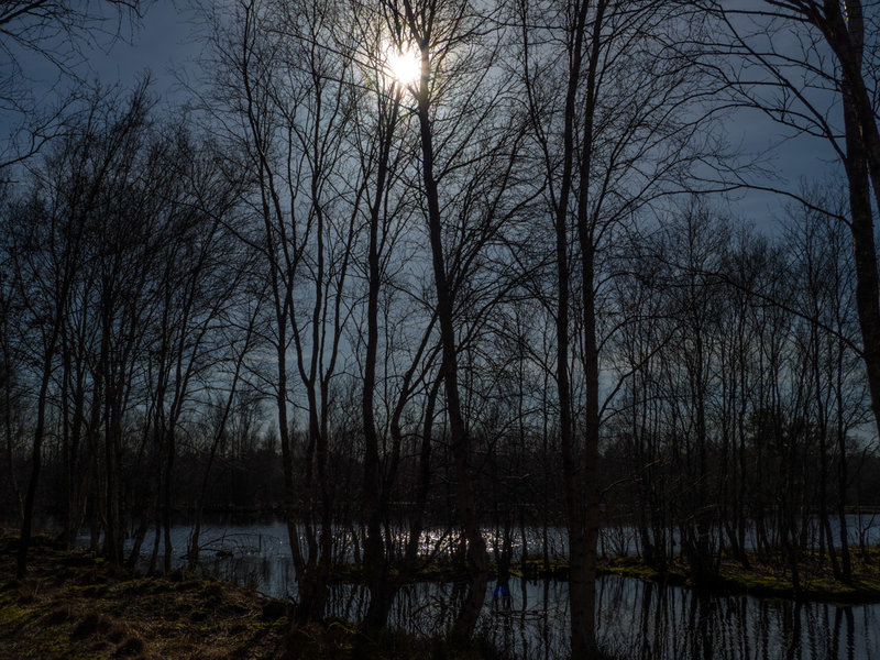 P2240040.JPG P2240040.JPG