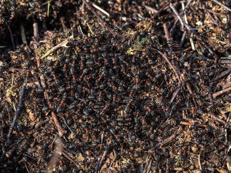 P2240041.JPG P2240041.JPG