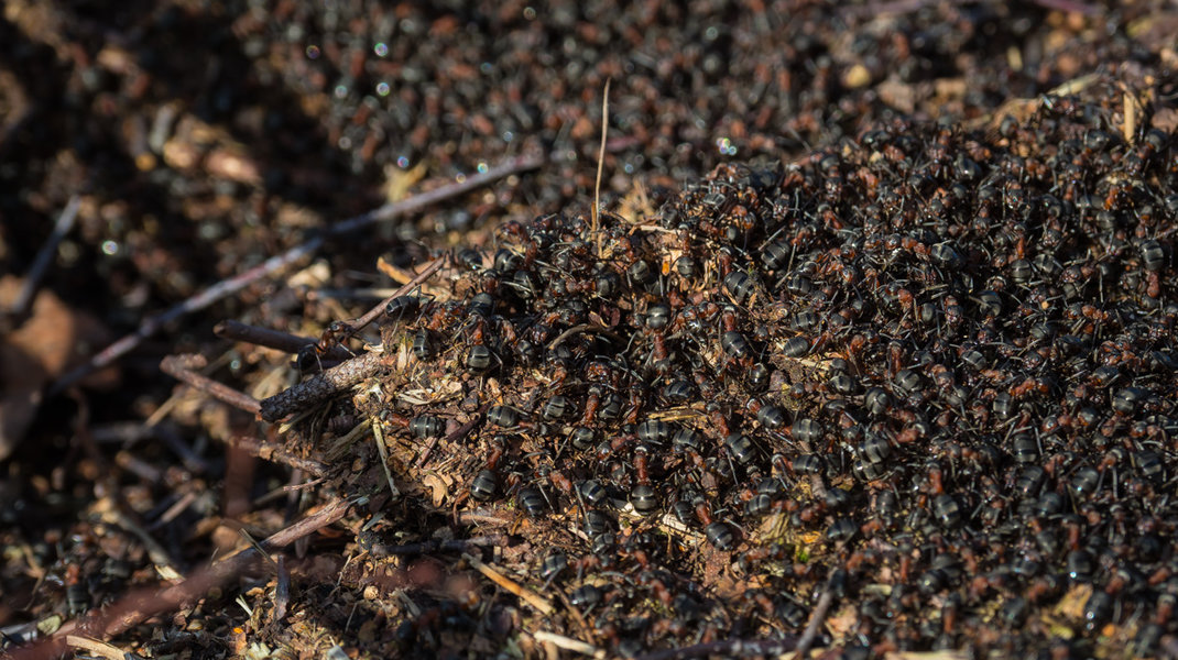 P2240044.JPG P2240044.JPG