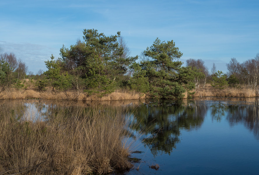 P2240048.JPG P2240048.JPG