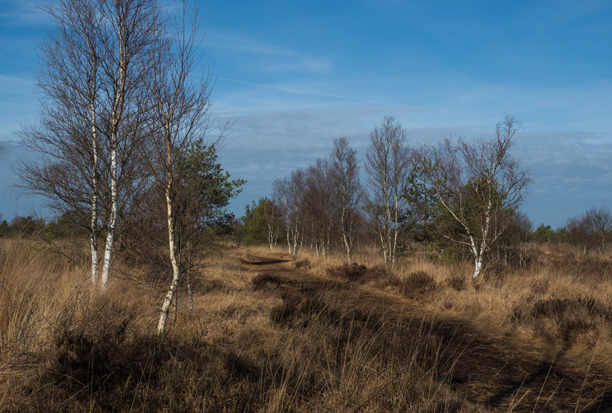 P2240049.JPG P2240049.JPG