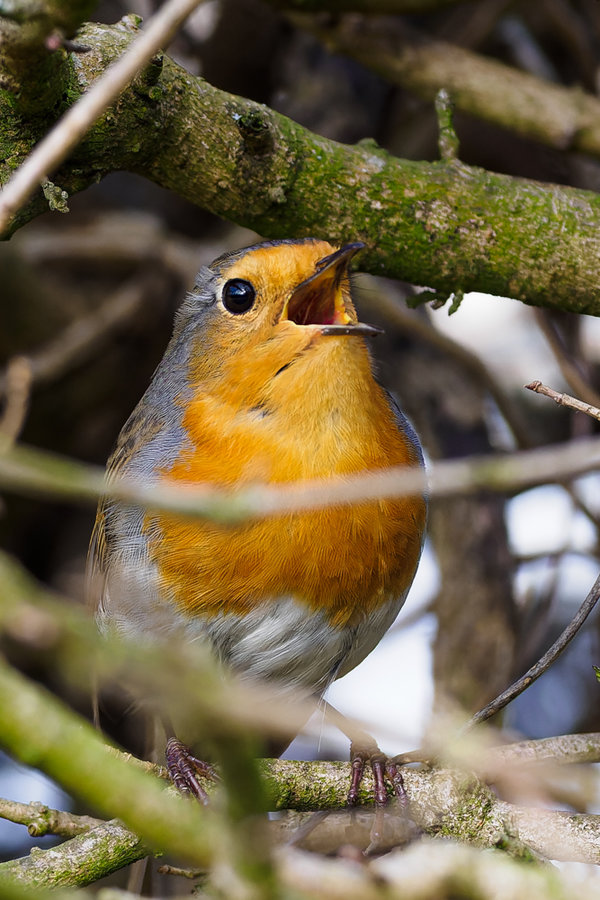 Beller Mühle Park 2021-66_DxO.jpg