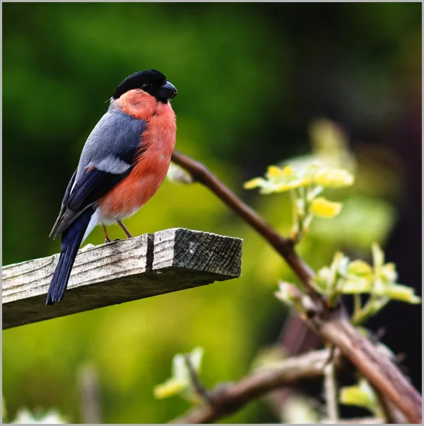 _small__IMG2557_1_DxO.webp