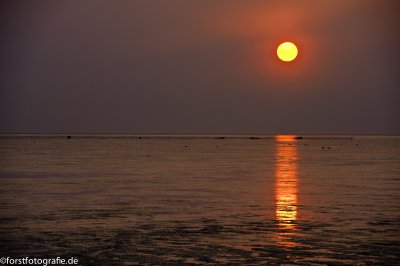 20110418-_HOF4637.jpg 20110418-_HOF4637.jpg