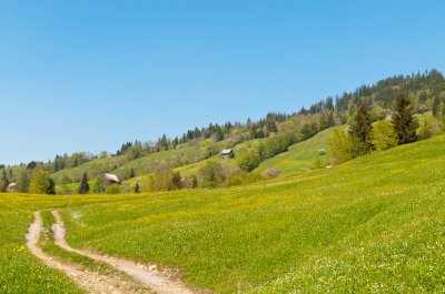 20110425_Wägital - schutz-wald-mensch_029.jpg