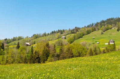 20110425_Wägital - schutz-wald-mensch_030.jpg