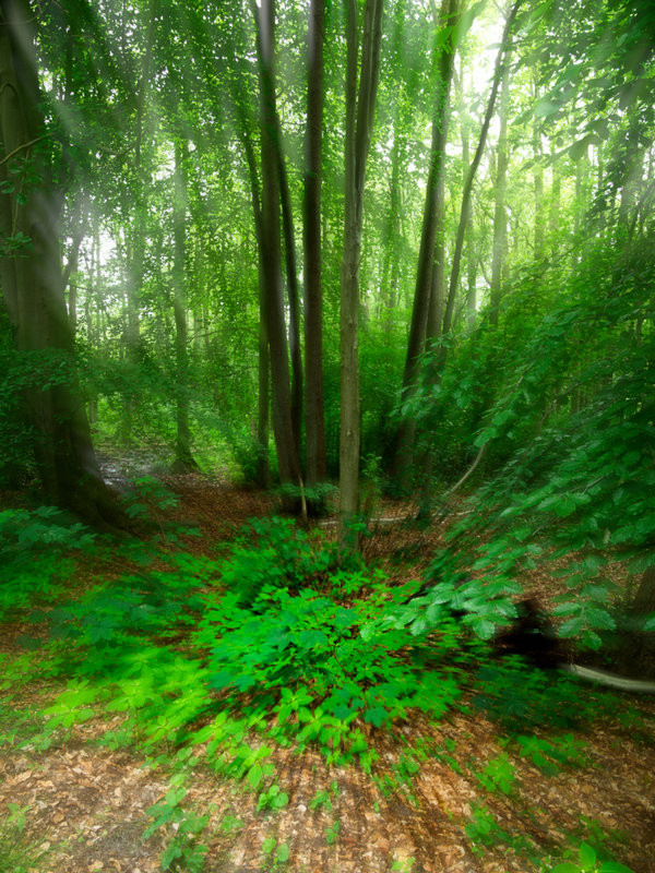 Juni 2019-652-Bearbeitet-2-Bearbeitet.jpg