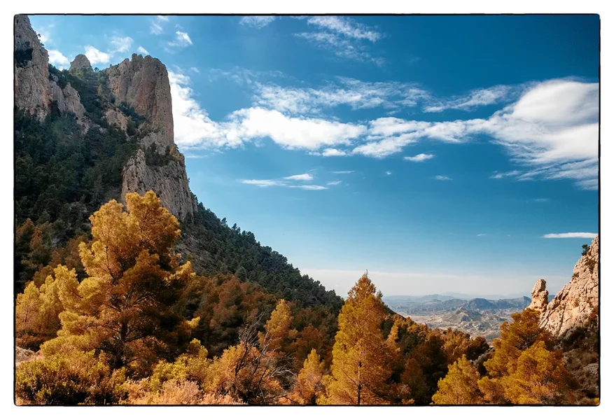 Indian Summer.webp