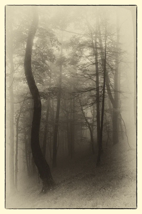alte Fotoplatte.webp