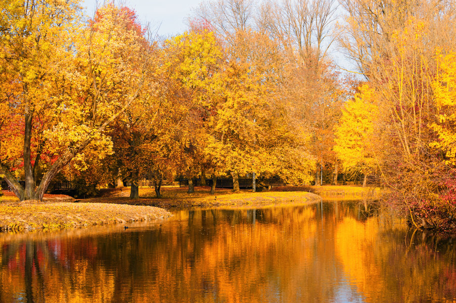 Herbstspaziergang 01.11.11_0014-Bearbeitet-Bearbeitet.jpg