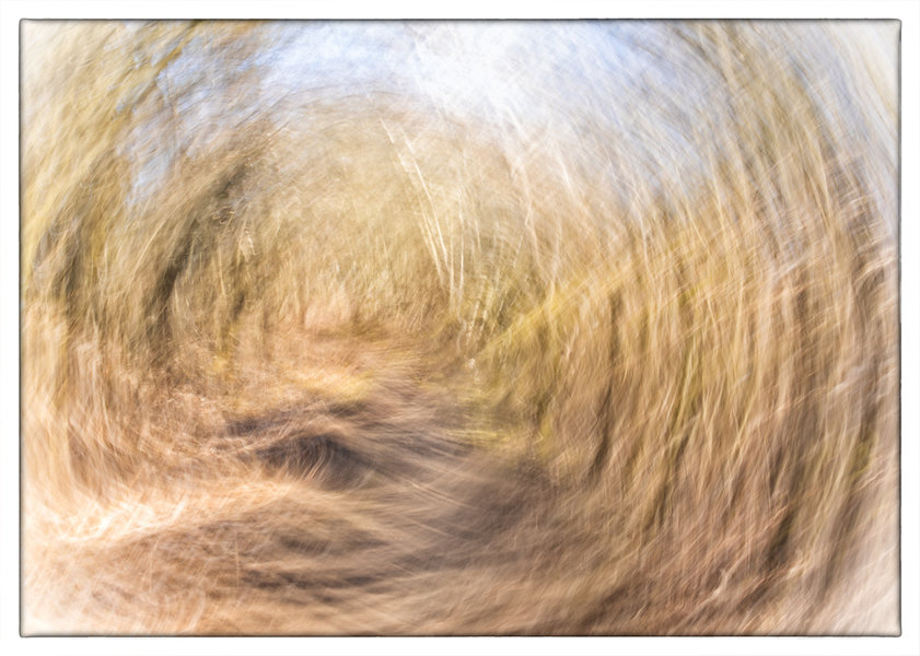ci_A7300427_art.jpg