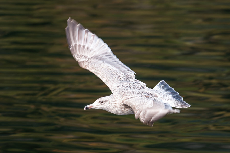 21.09.11_0128_DxO-Bearbeitet.jpg