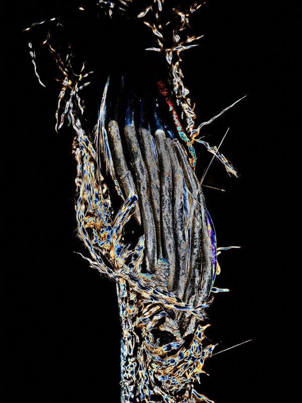 LAPADU 2020-7-Bearbeitet.jpg