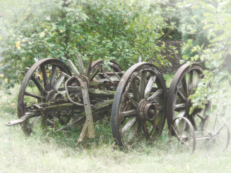 Oktober 2019-24-Bearbeitet.jpg