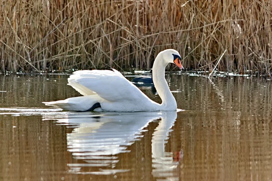 2021-03-10_2021-AM_KLEINEN_SEE_SDI0170-22.webp 2021-03-10_2021-AM_KLEINEN_SEE_SDI0170-22.webp