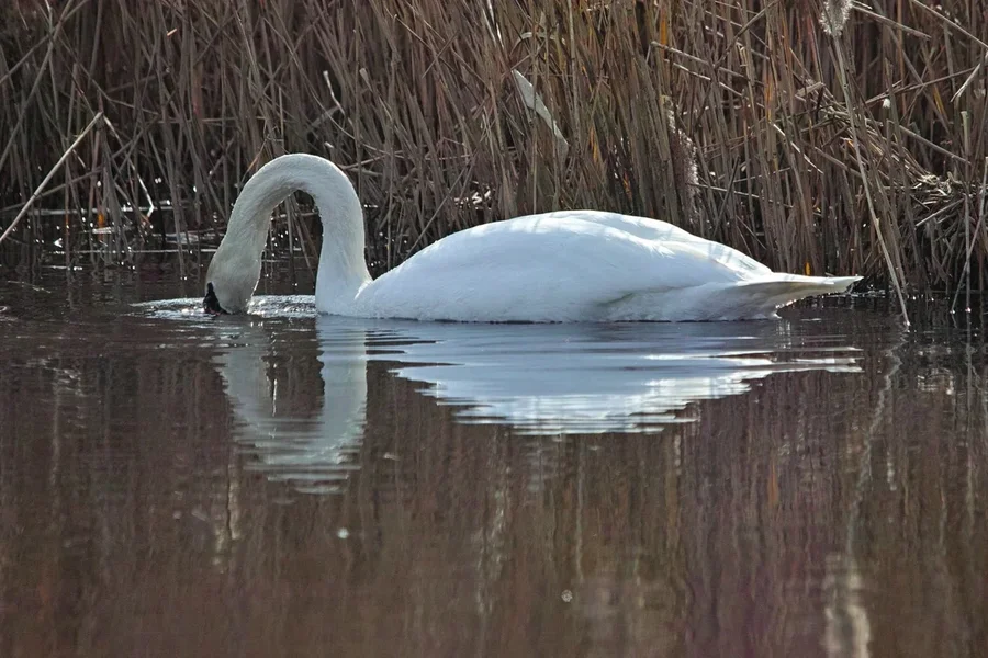 2021-03-10_2021-AM_KLEINEN_SEE_SDI0216-22.jpg 2021-03-10_2021-AM_KLEINEN_SEE_SDI0216-22.jpg