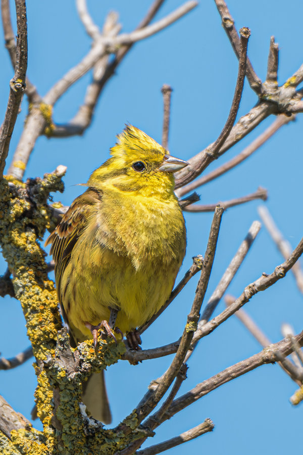 Juni 2017-741_DxO-Bearbeitet.jpg