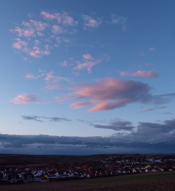 ci_PG9_2960.jpg