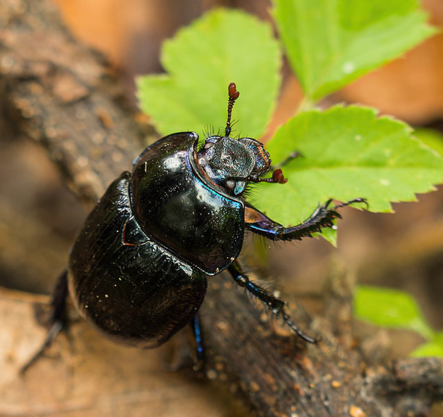 Oktober 2019-41_DxO-Bearbeitet.jpg