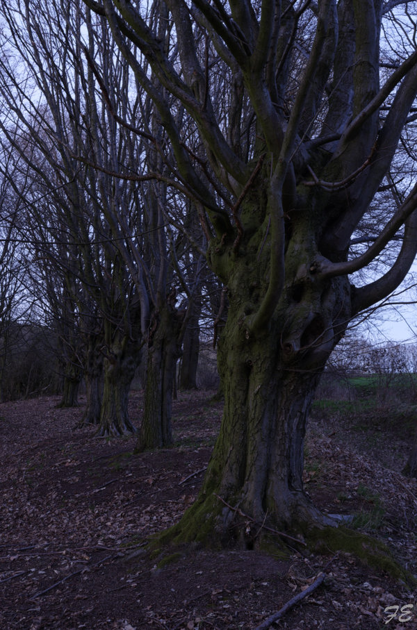 _IGP2646_DxO.jpg