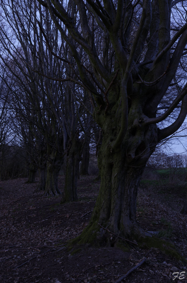 _IGP2649_DxO.jpg