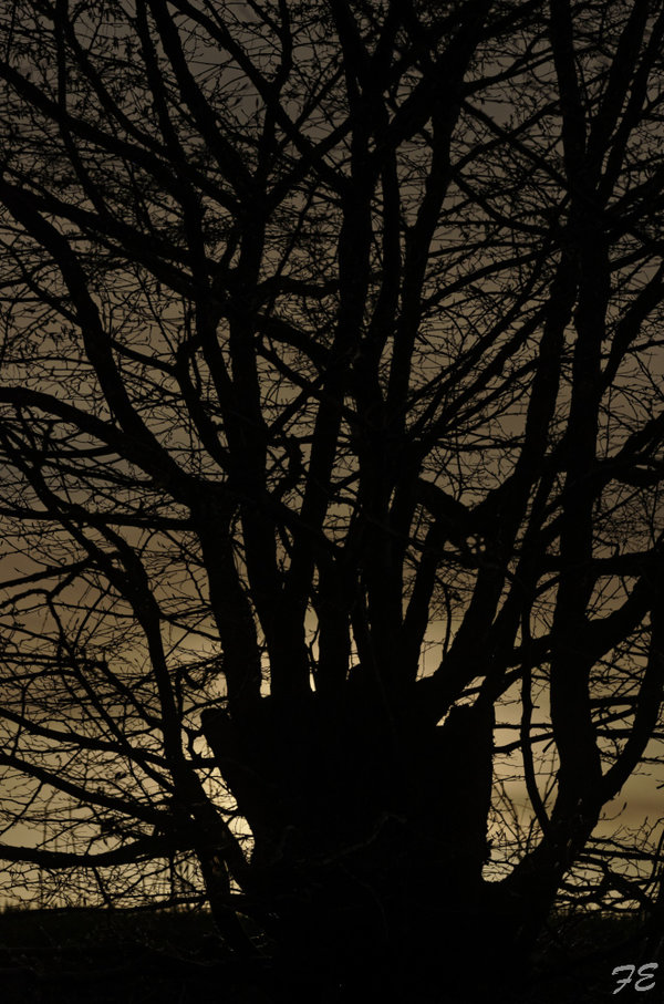 _IGP2669_DxO.jpg