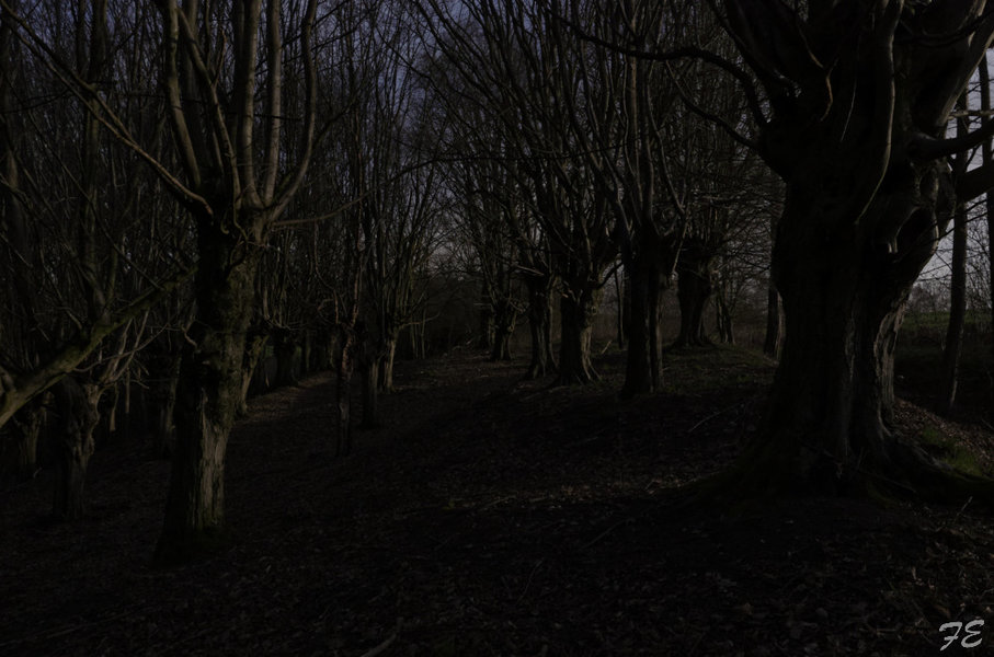 _IGP2677_DxO.jpg