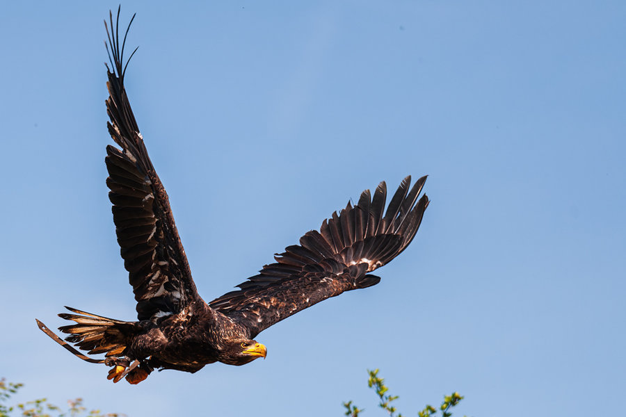Gaia Park 22.05.10_0103_DxO-Bearbeitet.jpg