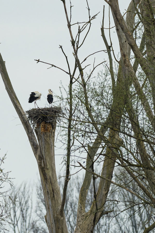 Bislich 2021-322_DxO-Bearbeitet.jpg